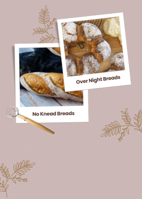 Over Night Breads & No Knead Breads Bundle Academy