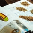 Brotfachkunde - Lektion 02 - Getreide und Mahlprodukte