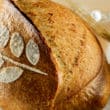 Bread Scoring - Ähre lang