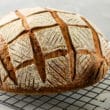 Bread Scoring - Quadrat
